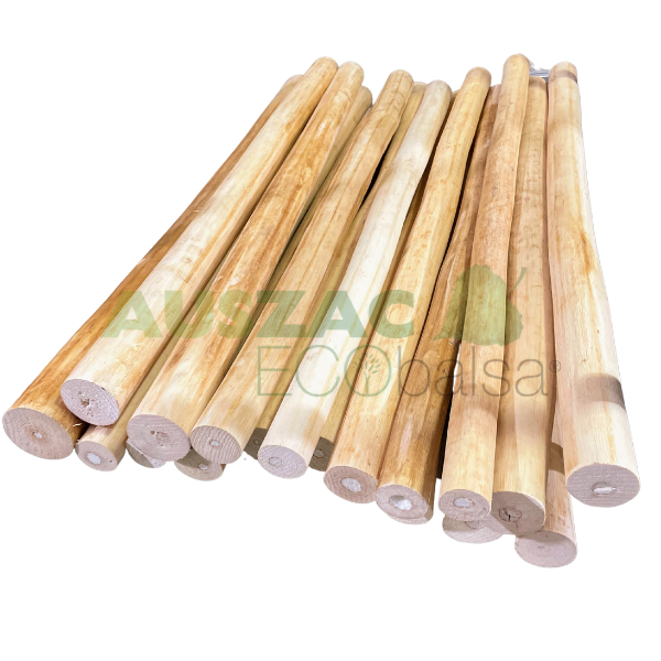 Balsa Branch